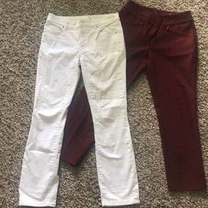 ANN TAYLOR PANTS
